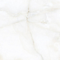 Nikita White Pol 60x120 Alpas Euro фото в миниатюре 2