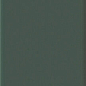 Plinto Green Gloss 10.7x54.2 DNA Tiles