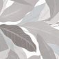 Ovate Grey Decor 60х120 Maimoon Ceramica фото в миниатюре