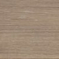 V52500081 Minnesota Camel 25x150 Venis