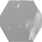 PT03138 Hex Grey Glossy 15x17,3 Ribesalbes