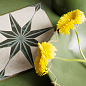 40467 Fs Starlight Sage LT 22,3x22,3x0,9 Peronda