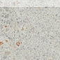 DSAS4788 PIAZZETTA 9.5x60 RAKO