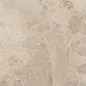 AIO7 Bloomstone Shell Matt RT 60x120 Caesar фото в миниатюре