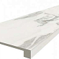 620070002498 Cold Scalino Frontale 60х33 ColiseumGres