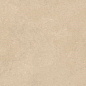 5DJ3 Grace Beige RT R11 60x120 Keope фото в миниатюре 9