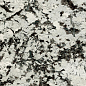 SS12049 Luxury Stone Pol 60x120 Fusure Ceramic