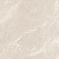 N40025 Luminia Beige Carving 60x120 Neodom