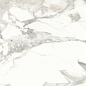 Invictus Natural 80x80 Baldocer