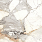 Venato Carrara High Glossy 80x160 SERON
