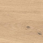 AX3N Log Bright Oak Forest Matte 18,5x150 Atlas Concorde