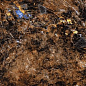 Livid Multi 60x120 Gravita