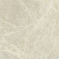 760013 Exalt Amber Symphony Nat Ret 30x60 Cerim