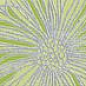 KL583771001 SPLENDIDA VERDE 6.2*50.5 Керлайф