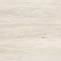 Desert Wood Crema Carving 60x120 ITC