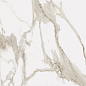 610015000545 Charme Evo Calacatta Lux/Ret 60x60 Italon