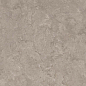 8163 Shell DG 60х60 Creto