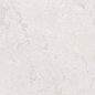 232837 Althea Moon 59.5х119.2 Colorker