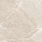 D60262M Wild Gold матовый 600x600x9.5 New Trend
