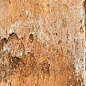 J92145 Nolita Multicolor 4,8x45 Sadon