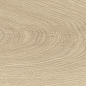 41728 Bloom Dune SP/24x151x0,9/R 24x151 Peronda