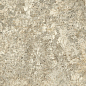 610010005676 F.d.M.Quark Brazilian Gold Grip 60x120 Atlas Concorde Russia