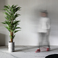 Rigato Laminam Russia