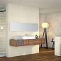 9515 Porcelanite Dos