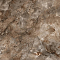 Aura Brown Pulido 120x280 Benadresa