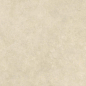 AYT9 Boost Expression Camel Matte 120x120 Atlas Concorde