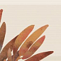 Decor Savage Flowers 02 Marron 15x45 Absolut Keramika