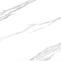 Luna White Carving 60x120 ITC