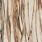 WA 01 CALACATTA COPPER LUC SQ 80x160 Mirage