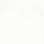 Aragon White 60*120 Art Ceramic