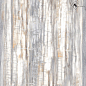 NSC8038 Серо-коричневый глянцевый 80x80 NS Ceramic фото в миниатюре