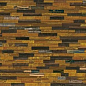 D1267820BM Eye Of the Tiger POL 120x60 Gani