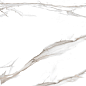 NR213 Takora White 60x120 PrimaVera