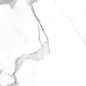 Marble Alexa Satuario 120x60 Artcer