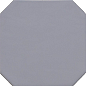 20555 Octagon Gris Mate 20*20 EQUIPE