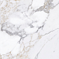 Arabescato Silver Glossy 60x120 Modern Tile