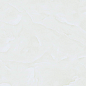 P16628 Kani Polished 60x60 Pardis Ceramic Pazh