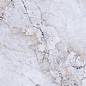 SS12027 Luxury Stone Pol 60x120 Fusure Ceramic
