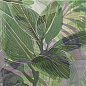 Secrets Green 20x20 Mainzu