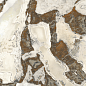 610015000709 Magma Dover Tiger Cer Ret 80x160 Italon фото в миниатюре 6