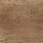 WOODLAND GROVE Wild 30x240 Cotto D’Este