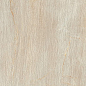 1066571 Fossil Crema Ret 60x120 Serenissima Cir