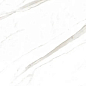 Marble Super Satvario 120x60 Artcer