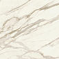 AJID Marvel Meraviglia Calacatta Bernini Lapp. 120x120 Atlas Concorde