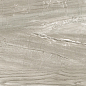 GFA92WDW40R Wonderwood 200x900x7 Alma Ceramica (Уралкерамика)