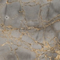 Reflection Gold 60x120 Realistik